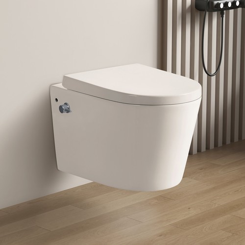 Rimless wall hung - wall, toilet